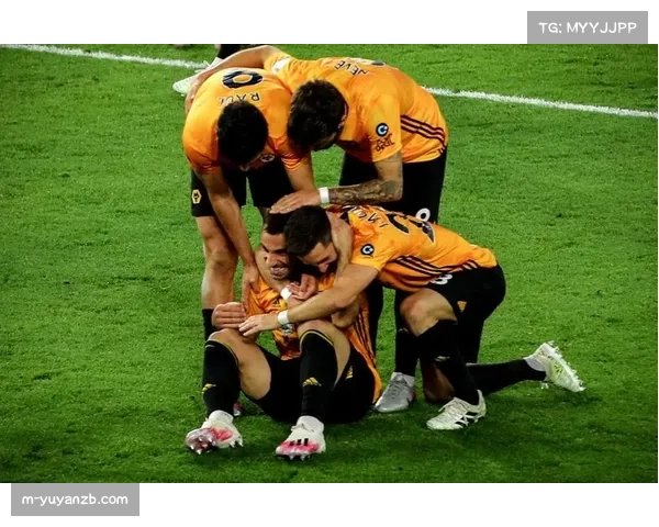 狼队门将位置遭遇危机 若泽萨约翰斯通均有伤情